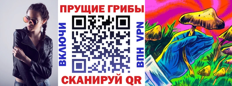 это формула  мега ссылка  Псилоцибиновые грибы Cubensis  Динская  наркошоп 