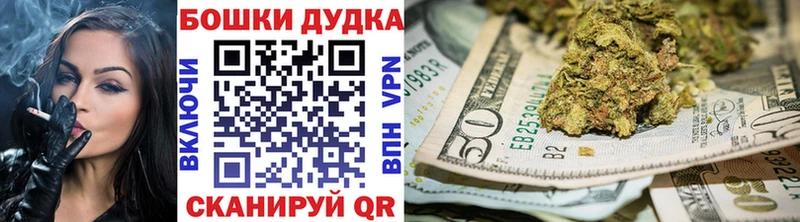 купить   Динская  Каннабис сатива 